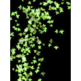 Plus Size Women'S Hooded Sweatshirt with Zipper | Solid Black with Fluorescent Maple Leaf Print, Soft Casual Long Sleeve Drawstring Jacket with Pockets - Women'S Fashion Sports Casual Wear