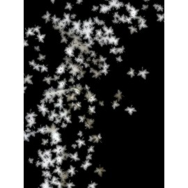 Plus Size Women'S Hooded Sweatshirt with Zipper | Solid Black with Fluorescent Maple Leaf Print, Soft Casual Long Sleeve Drawstring Jacket with Pockets - Women'S Fashion Sports Casual Wear