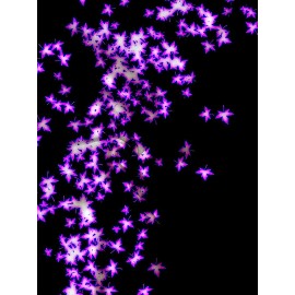 Plus Size Women'S Hooded Sweatshirt with Zipper | Solid Black with Fluorescent Maple Leaf Print, Soft Casual Long Sleeve Drawstring Jacket with Pockets - Women'S Fashion Sports Casual Wear