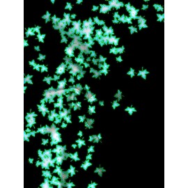 Plus Size Women'S Hooded Sweatshirt with Zipper | Solid Black with Fluorescent Maple Leaf Print, Soft Casual Long Sleeve Drawstring Jacket with Pockets - Women'S Fashion Sports Casual Wear